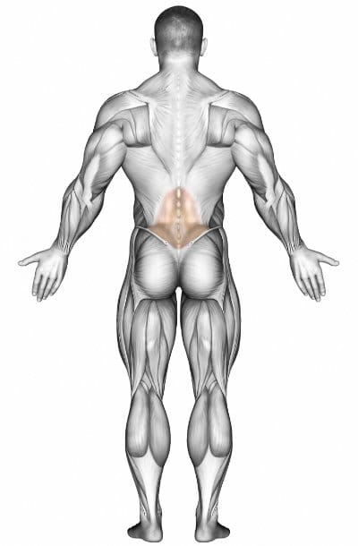 Low Back